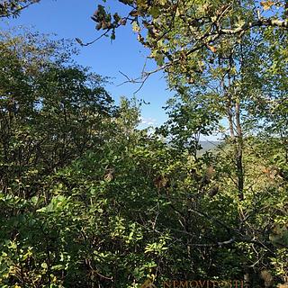 Prodej stavební parcely, 6251m²