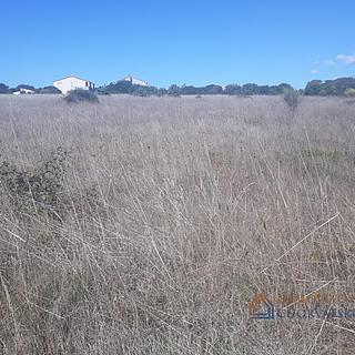 Prodej stavební parcely, 1501m²