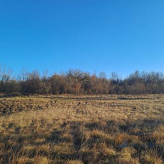 Prodej stavební parcely, 17200m²