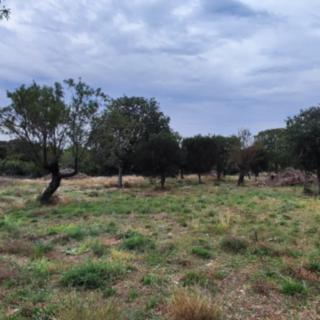 Prodej stavební parcely, 3596m²