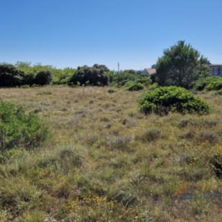 Prodej stavební parcely, 1337m²