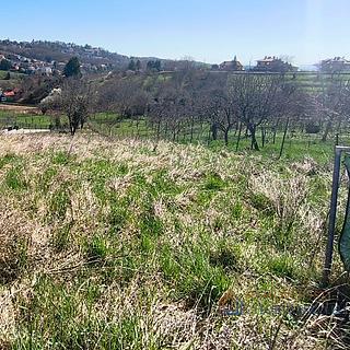 Prodej stavební parcely, 1281m²