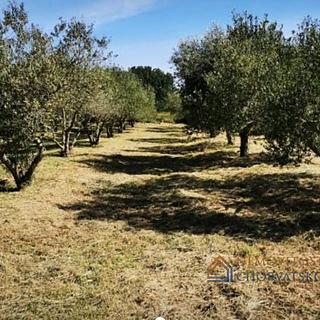 Prodej stavební parcely, 1577m²