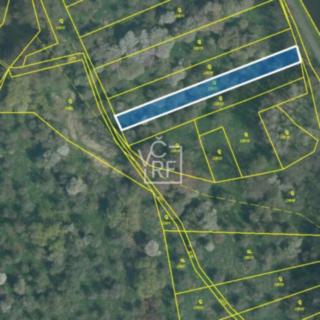 Prodej ostatních pozemků 1146 m² Hořín