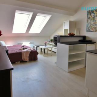 Prodej bytu 1+kk a garsoniéry 31 m² Praha Nové Město, Washingtonova