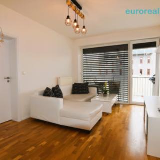 Pronájem bytu 3+kk 59 m² Mladá Boleslav II, Na Radouči