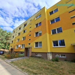 Pronájem bytu 2+1 42 m² Stráž pod Ralskem, Máchova