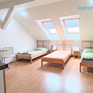 Pronájem bytu 1+kk a garsoniéry 25 m² Plzeň Východní Předměstí, Lindauerova