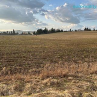 Prodej stavební parcely 10000 m² Tachov
