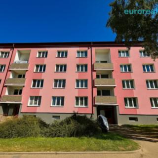 Pronájem bytu 1+1 35 m² Cheb, Lesní