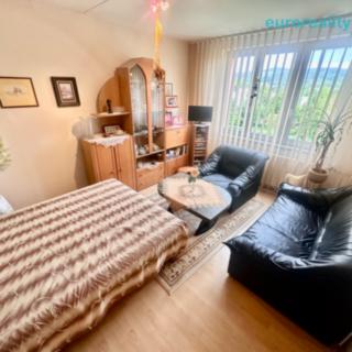 Prodej bytu 1+1 35 m² Sokolov, Gagarinova