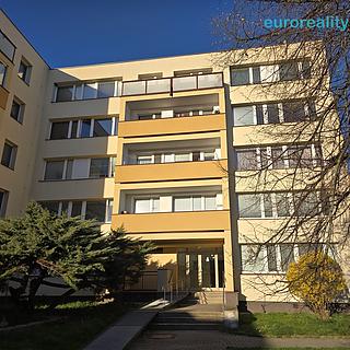 Pronájem bytu 2+1 55 m&sup2; Beroun