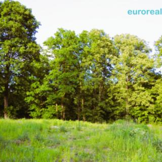 Prodej stavební parcely 3 600 m² Valteřice