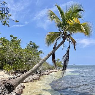 Prodej ostatních pozemků, 161996m²