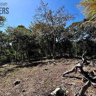 Prodej stavební parcely, 2400m²