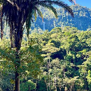 Prodej rodinného domu, 4080m²