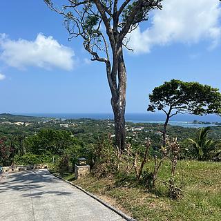 Prodej stavební parcely, 2428m²