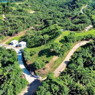 Prodej stavební parcely, 300m²