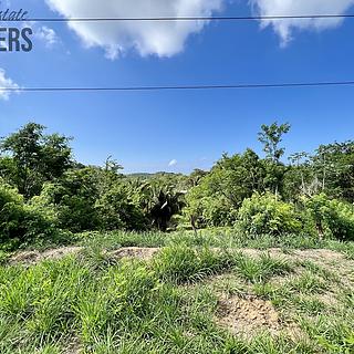 Prodej stavební parcely, 716m²