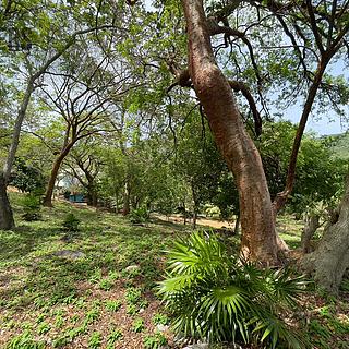 Prodej stavební parcely, 1821m²