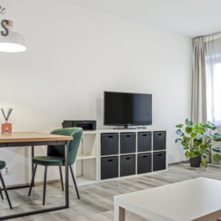 Pronájem bytu 1+kk a garsoniéry 38 m² Chýnice, Karlštejnská