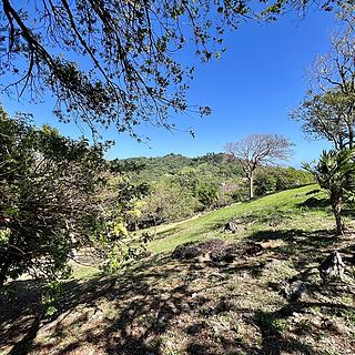 Prodej stavební parcely, 1594m²