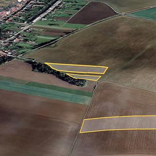 Prodej zemědělské půdy 30796 m&sup2; Turovice