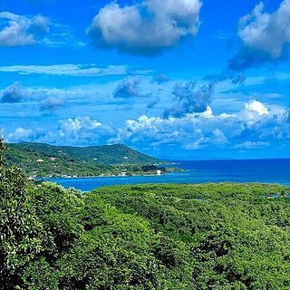 Prodej stavební parcely, 1000m²