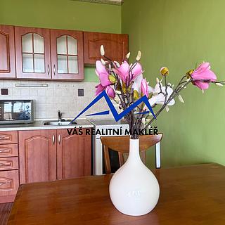 Prodej bytu 1+kk a garsoniéry 28 m² Bohumín Nový, Svat. Čecha