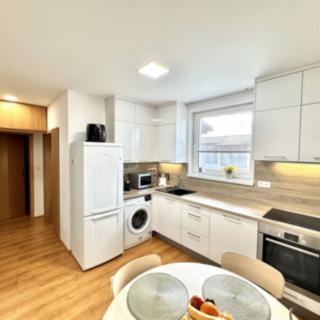 Prodej bytu 2+1 49 m² Nová Ves, Nad Obcí