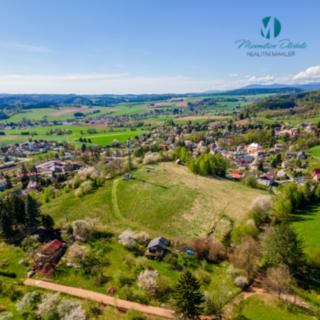 Prodej ostatního pozemku 28 445 m² Malé Svatoňovice