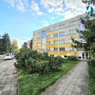 Pronájem bytu 1+kk a garsoniéry 35 m² Nové Město nad Metují, Malecí