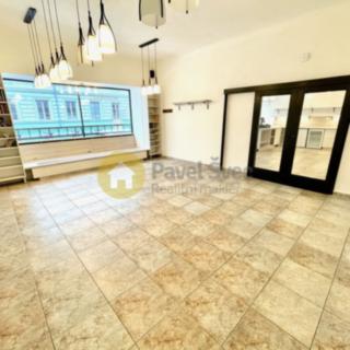 Prodej restaurace 120 m² České Budějovice 6, Rudolfovská tř.