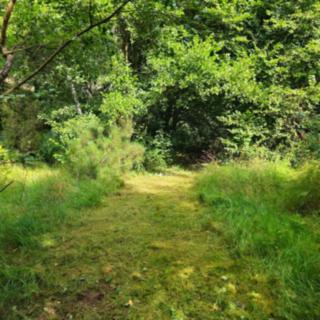 Prodej stavební parcely 1644 m² Senohraby