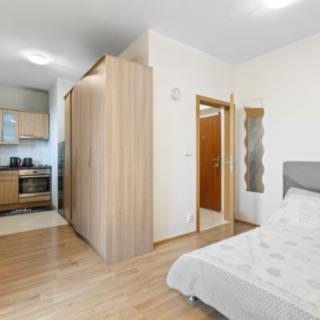 Prodej bytu 1+kk, garsoniery 25 m² Praha