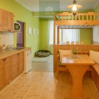 Pronájem bytu 2+kk 43 m² Plzeň