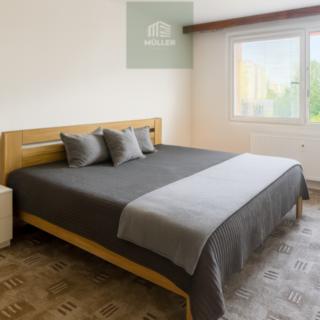 Pronájem bytu 1+1 40 m² Plzeň