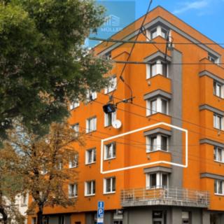 Pronájem bytu 2+kk 43 m² Plzeň Východní Předměstí, Guldenerova