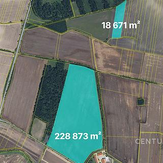 Prodej zemědělské půdy 228 873 m² Chotěšice