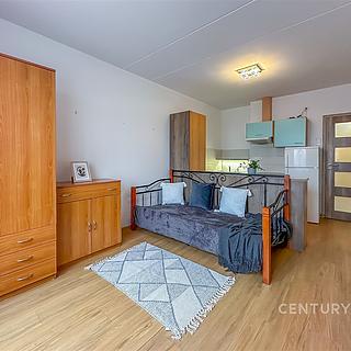 Pronájem bytu 1+kk a garsoniéry 27 m² Horní Bříza, U Vrbky