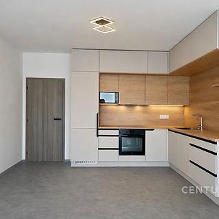 Pronájem bytu 2+kk 58 m² Tábor Měšice, Svážná