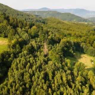 Prodej lesa 20 558 m² Nýdek