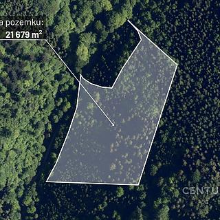 Prodej lesa 21 679 m² Nýdek