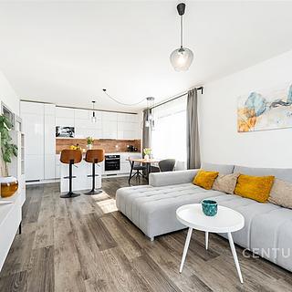Prodej bytu 3+kk 70 m² Milovice Mladá, Armádní