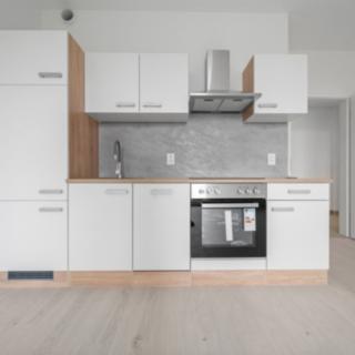 Prodej bytu 2+kk 46 m² Brandýs nad Labem-Stará Boleslav Brandýs nad Labem, Ve Vrbičkách