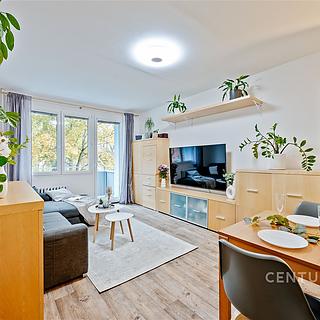 Prodej bytu 2+1 63 m² Tábor, Náchodská