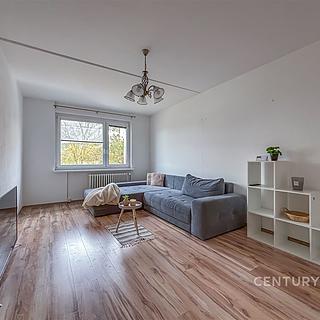Pronájem bytu 2+1 65 m² Číhaň