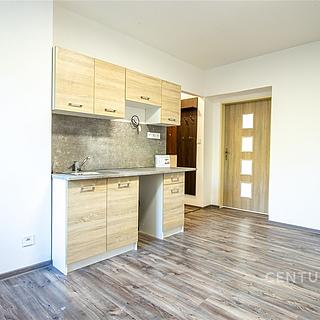 Prodej bytu 1+1 43 m² Bohumín Nový Bohumín