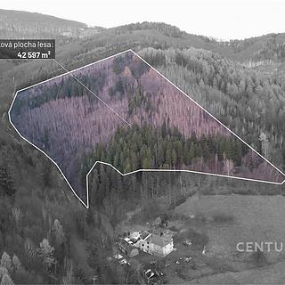 Prodej lesa 42597 m² Nýdek