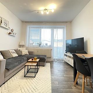 Pronájem bytu 3+kk 58 m² Planá nad Lužnicí